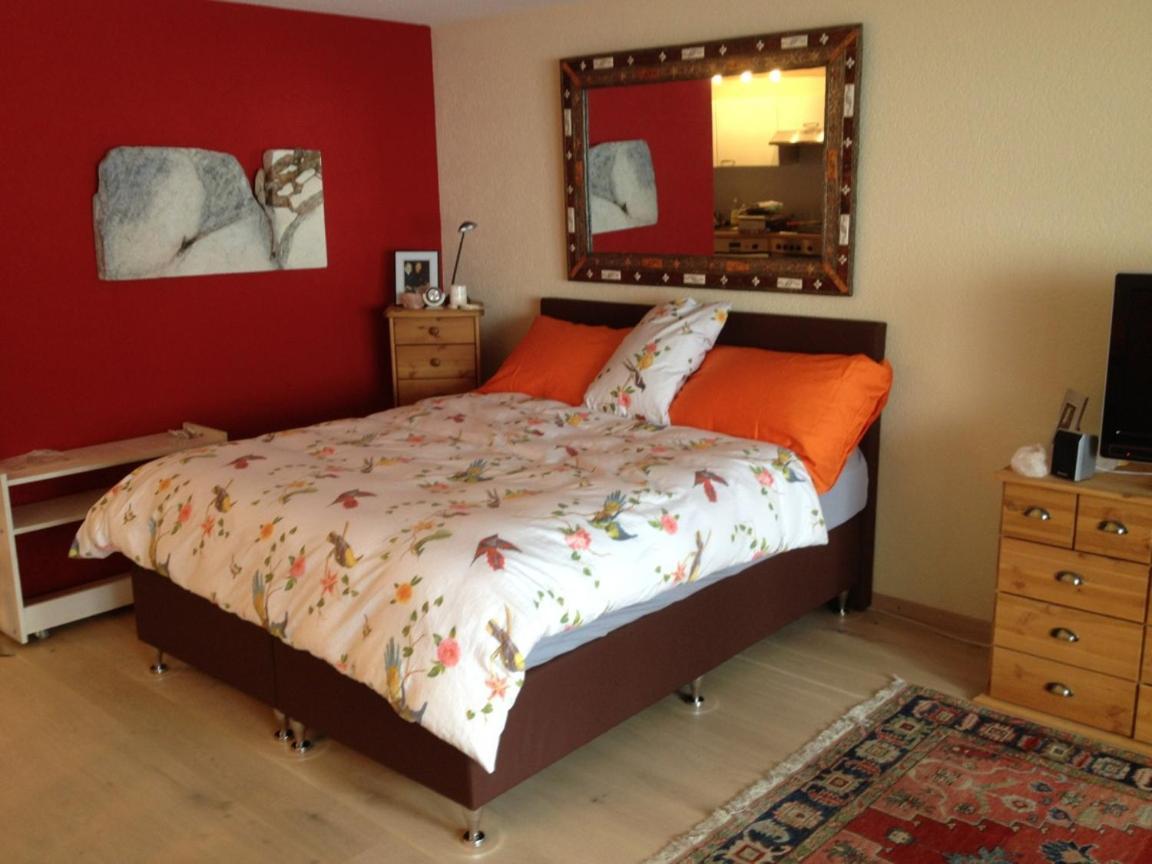 Rothornblick Apartment Arosa Luaran gambar